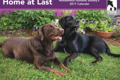 2017 Calendars On Sale Now!