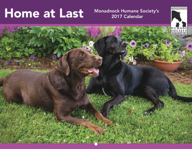 2017 Calendars On Sale Now!