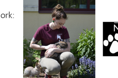 banner with image of woman holding an animal and text that says inside animal welfare work: report from the 2017 nefhs conference by kandia kovacs new england federation of humane societies helping people help animals since 1945.