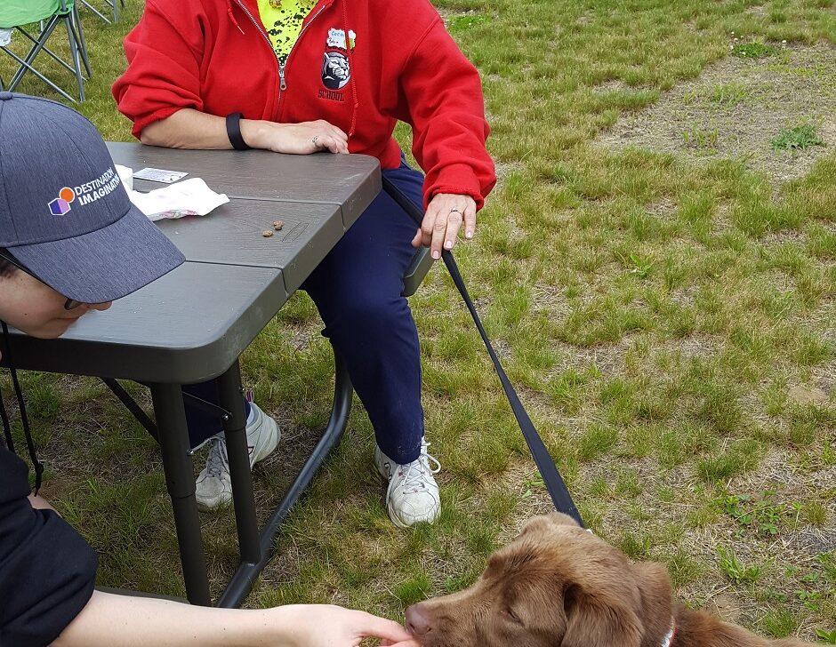 dog eating food from an adult sitting at a picnic table.