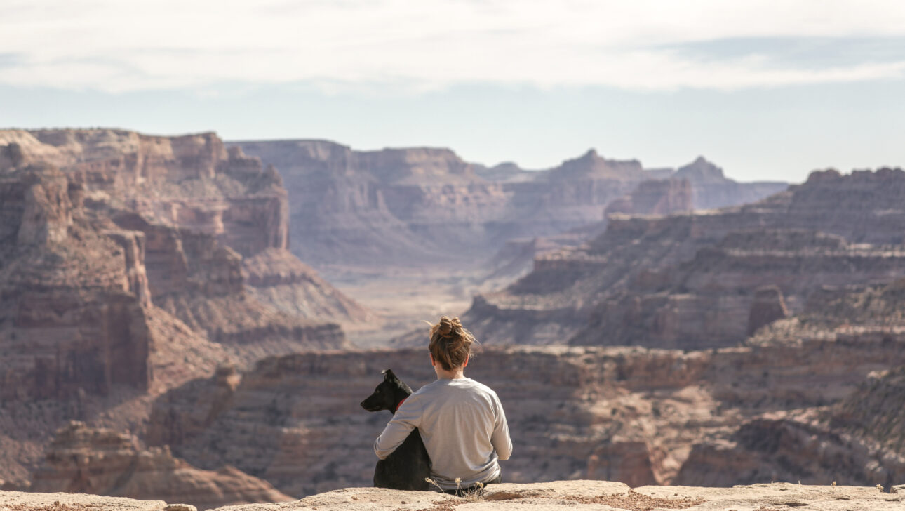 A dog and a person sitting together.
