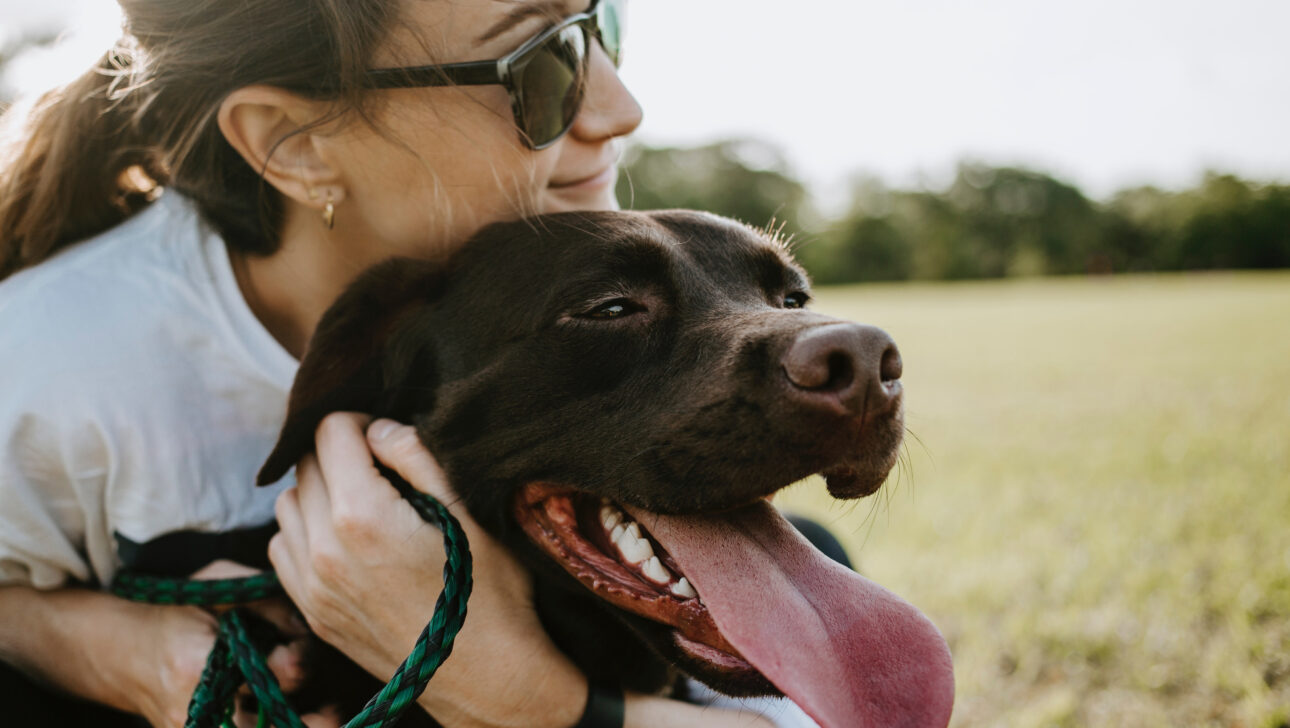 A person hugging a dog.