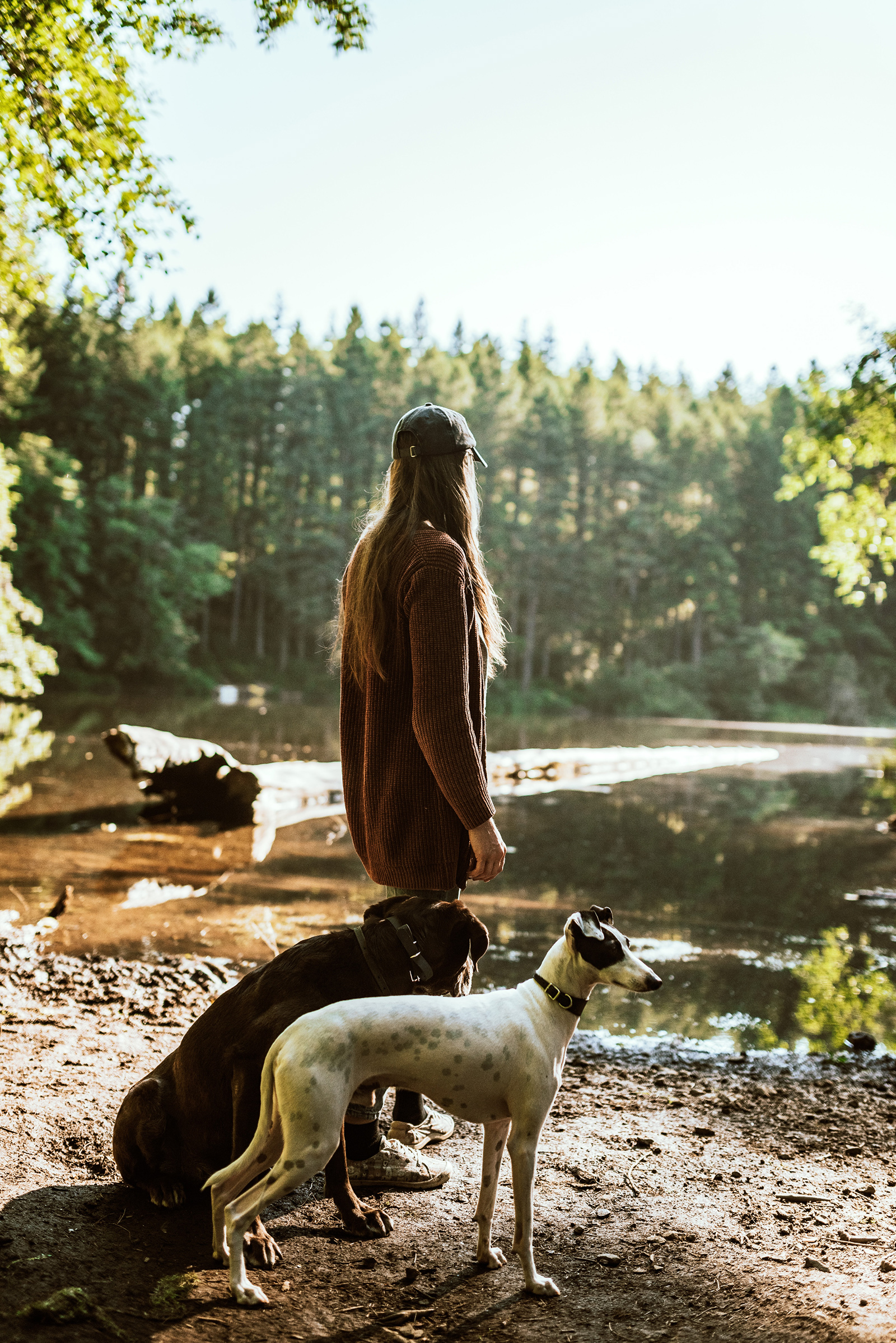 A person and two dogs standing in front of a lake.