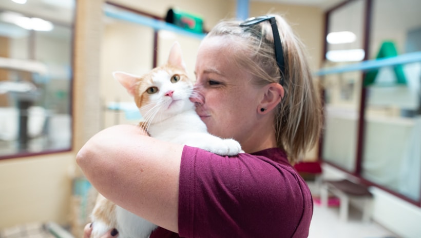 A woman giving a cat a kiss.