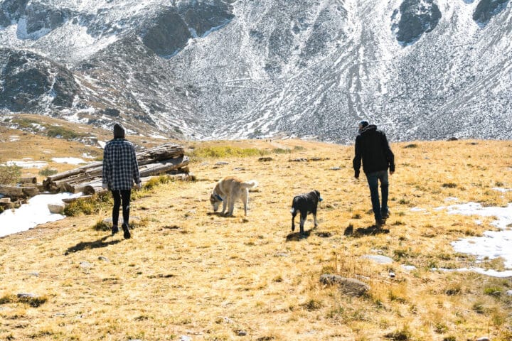two people walking dogs among mountains.