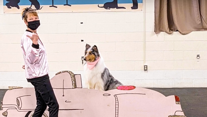 An instructor performing with a dog.