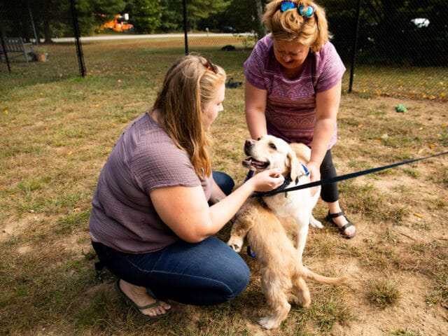 Two women playing with two dogs outside.