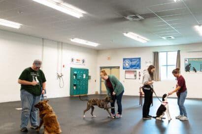 Interior of the MHS dog training center.