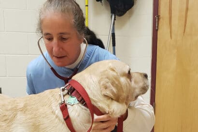 A veterinarian examining a dog.