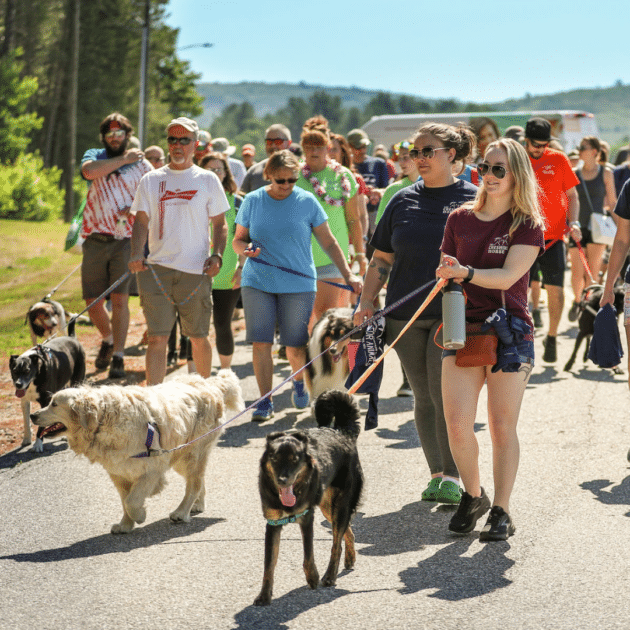 Monadnock Region community members walking with their dogs to support Monadnock Humane Society at the Walk for Animals